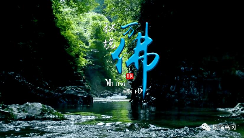 果冻分裂